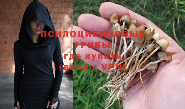 прущие крисы Сафоново