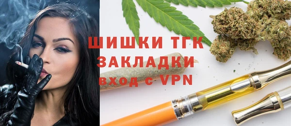 стаф Рославль