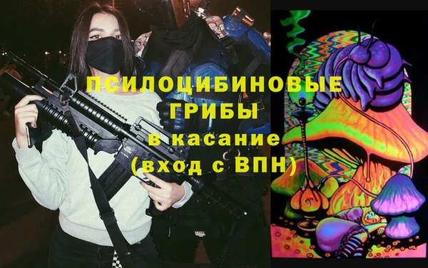 стаф Рославль