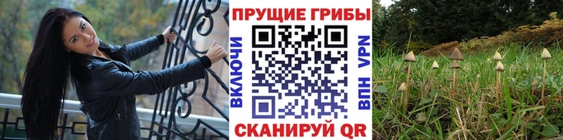 Псилоцибиновые грибы прущие грибы  Ясный 
