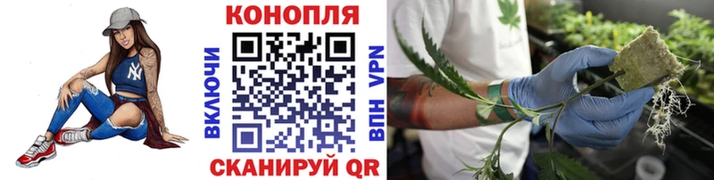 Бошки Шишки Ganja  Ясный 